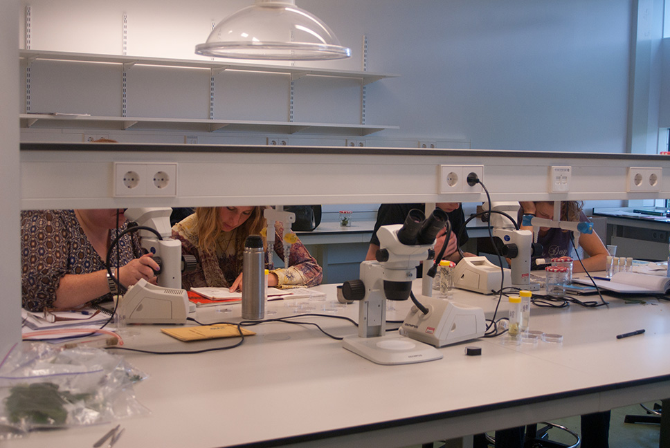Lab work Lab work